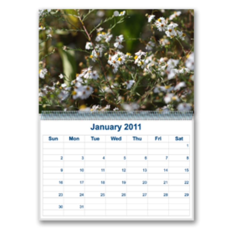 Calendars - Customizable, Wall